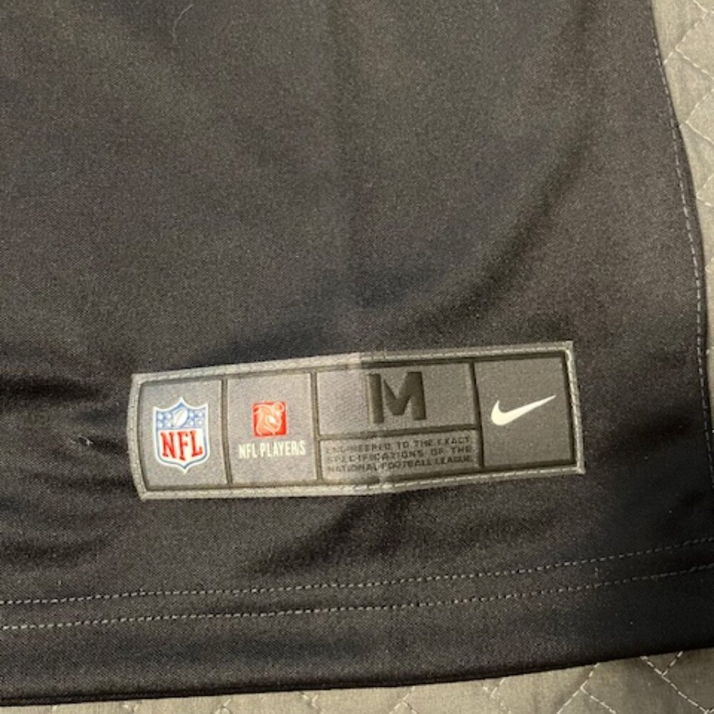 Men's Pittsburgh Steelers Jersey (Troy Polamalu) - Picture 6 of 7